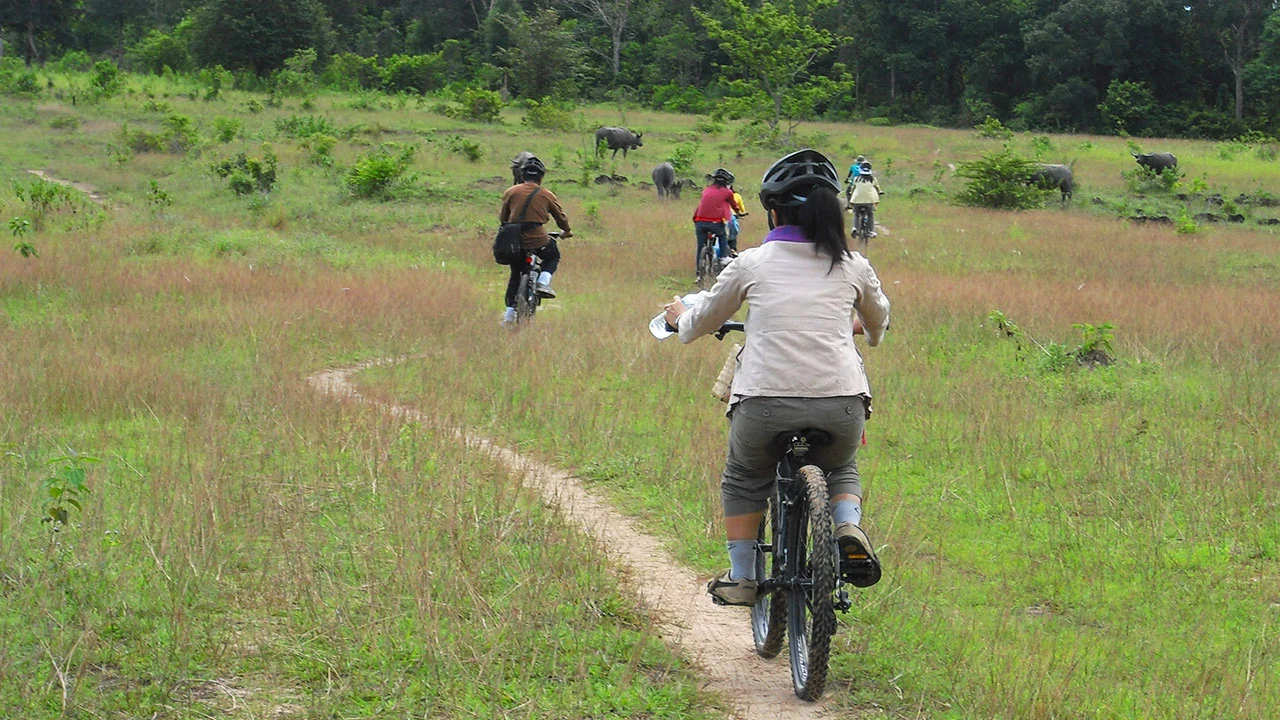 Cycling